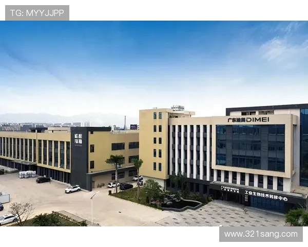 凯发集团怎么样:技术创新与产品研发能力的详细介绍