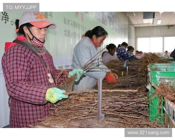 多赢真人平台的安全保障措施,确保玩家资金和信息安全实现多方共赢